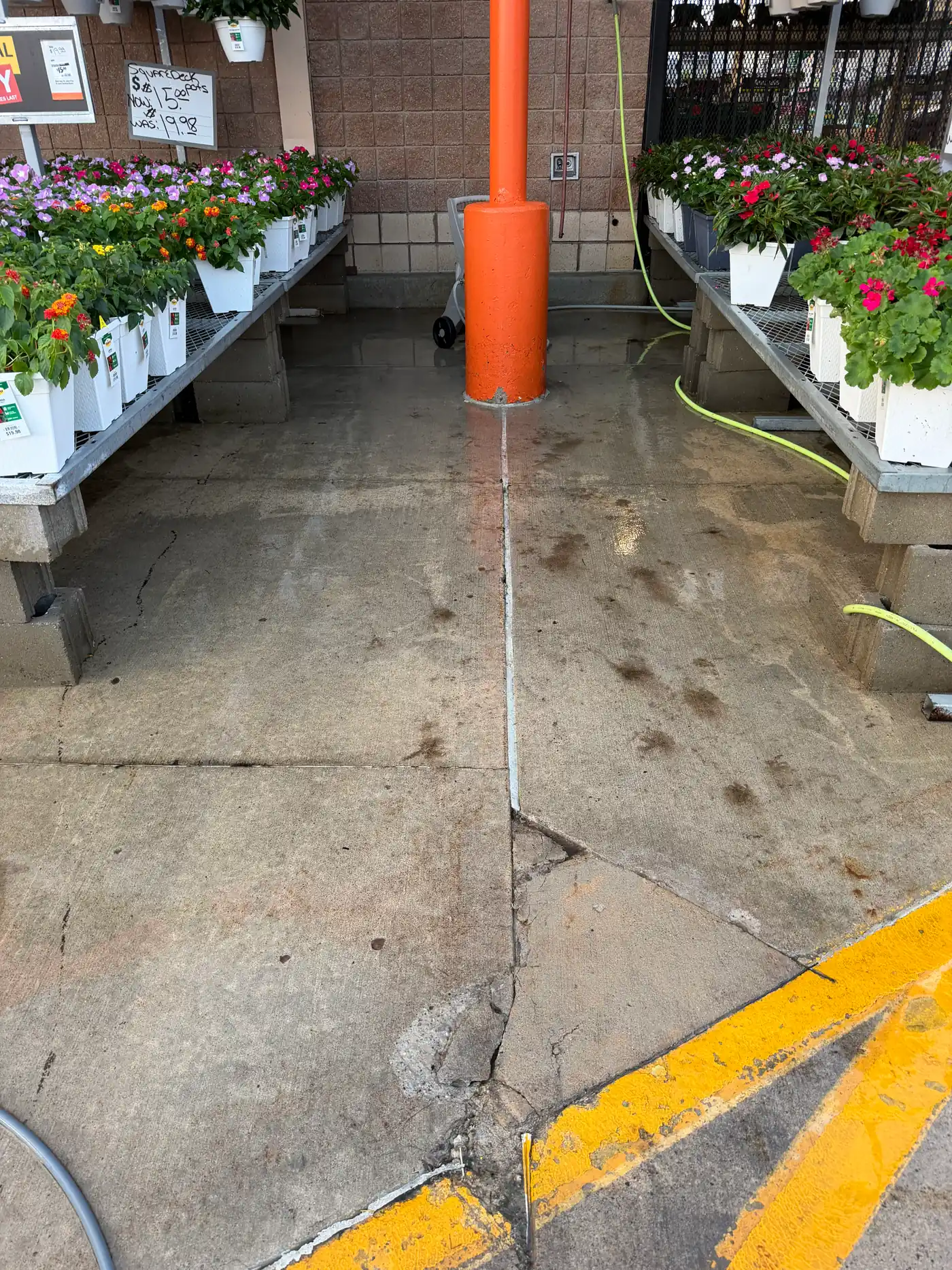 The same garden centre concrete after a commercial surface-cleaner pass
